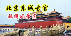 河北女人操逼黄片中国北京-东城古宫旅游风景区