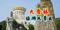 狂草长腿美女中国浙江-绍兴大香林旅游风景区